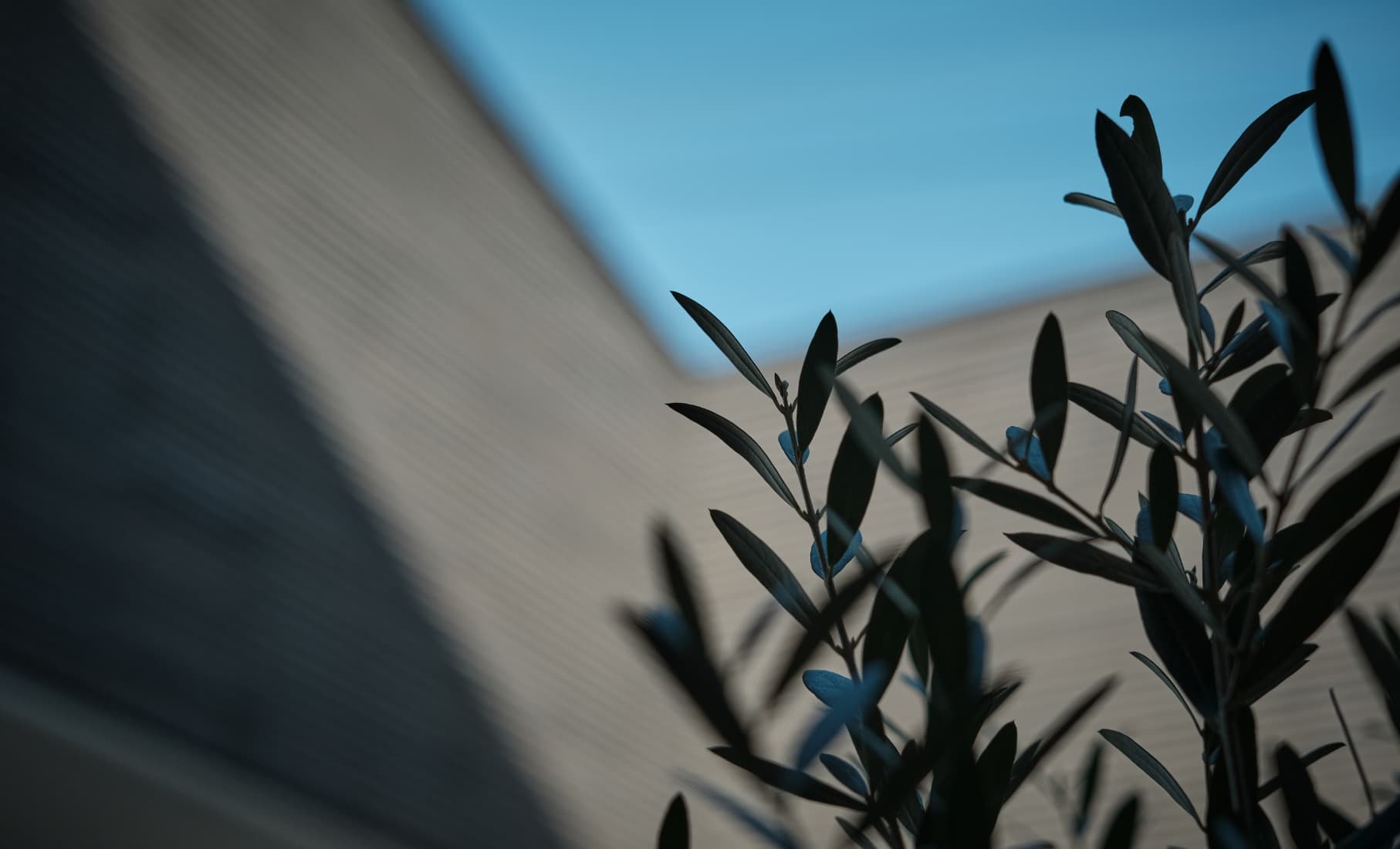 コンセプトイメージ