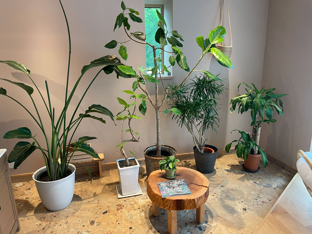 都大路展示場　植物のメンテナンス記録