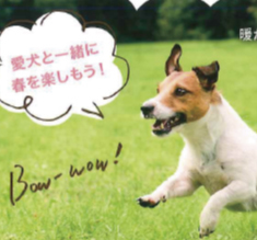 Pooch×「滋賀の犬好き大集合♪」スプリングイベント