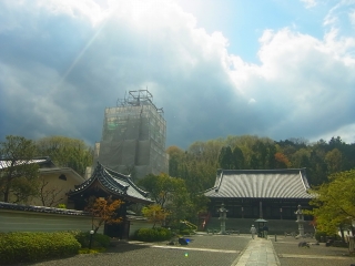 今日の天気！