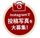 インスタ投稿写真