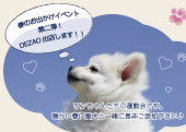 第18回ワン動会