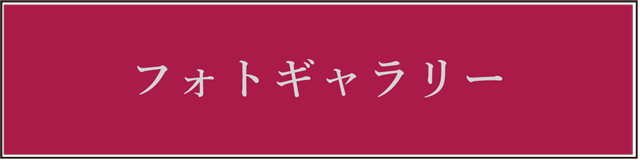 フォトギャラリー