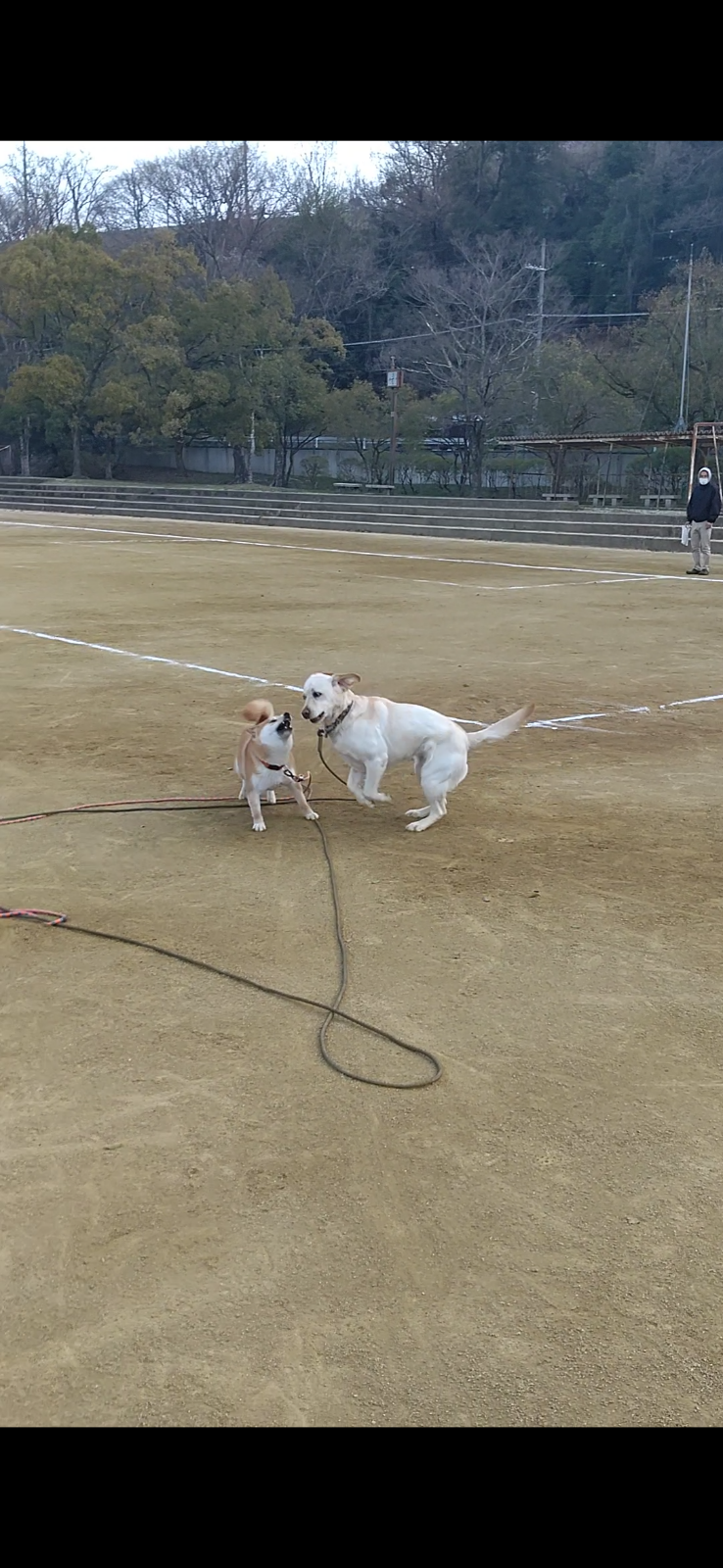 すると友達のB君と会い！