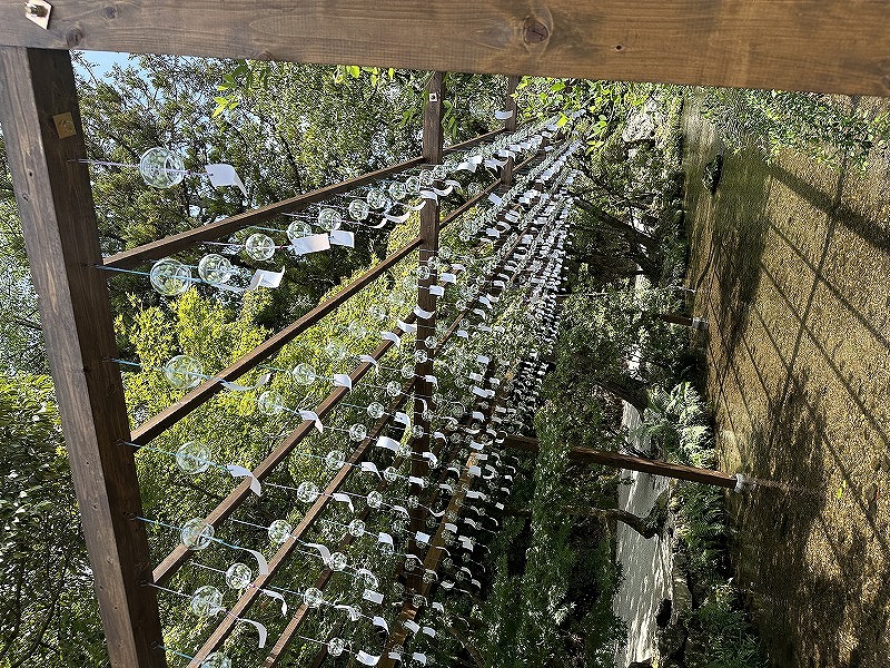 久日ぶりに、お散歩がてら上賀茂神社へいって来ました。