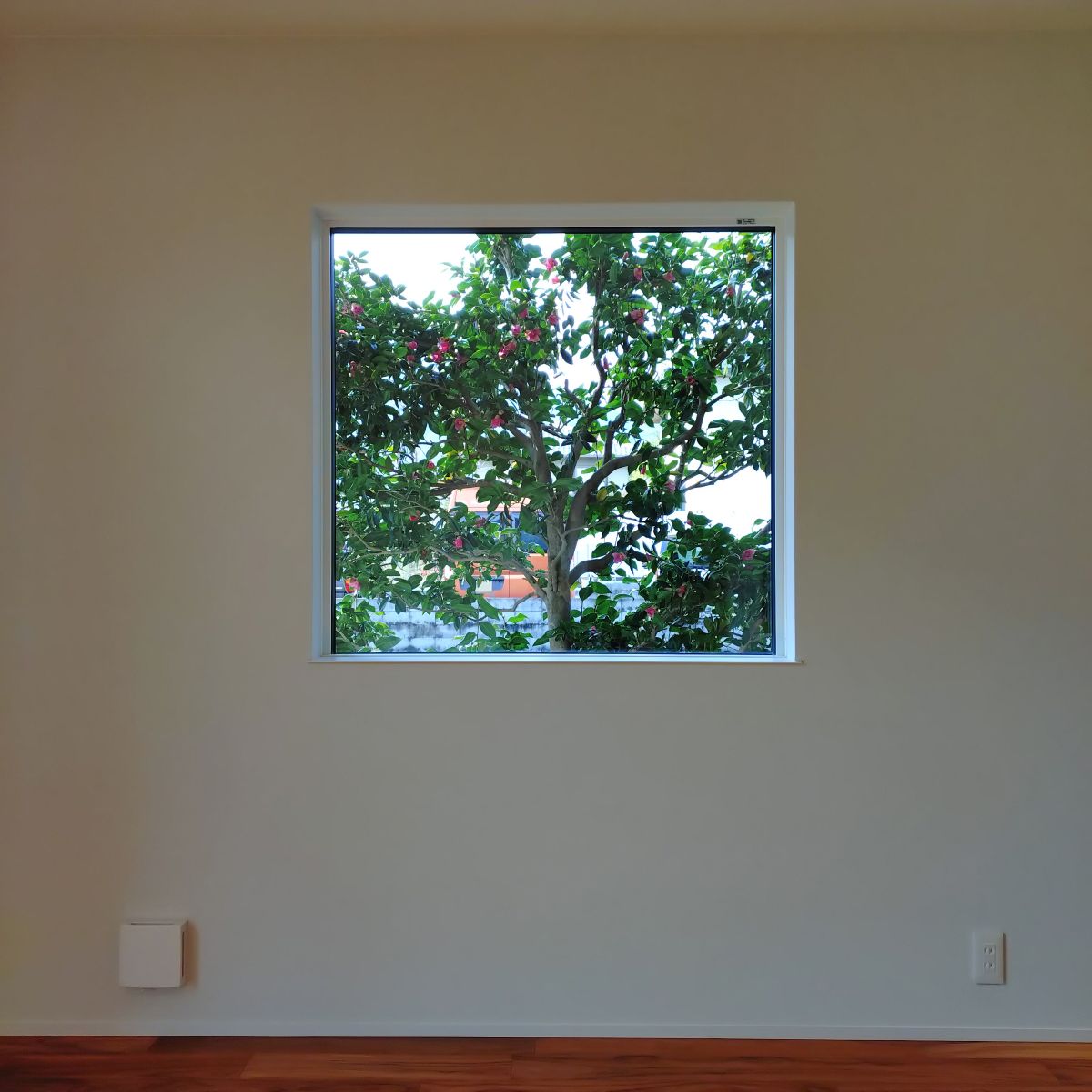 ピクチャーウインドウ